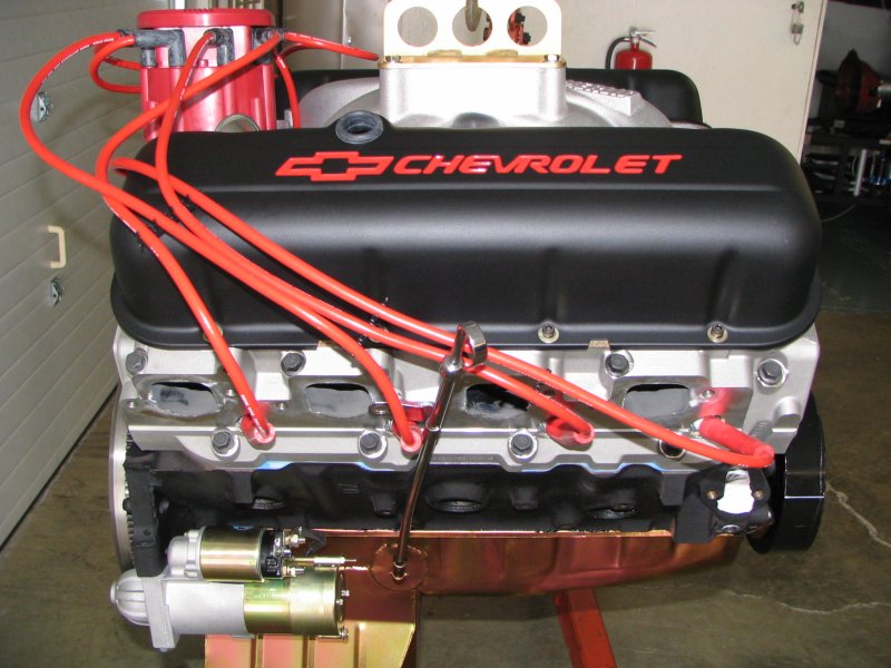 dyno bot dc dyno bot dc